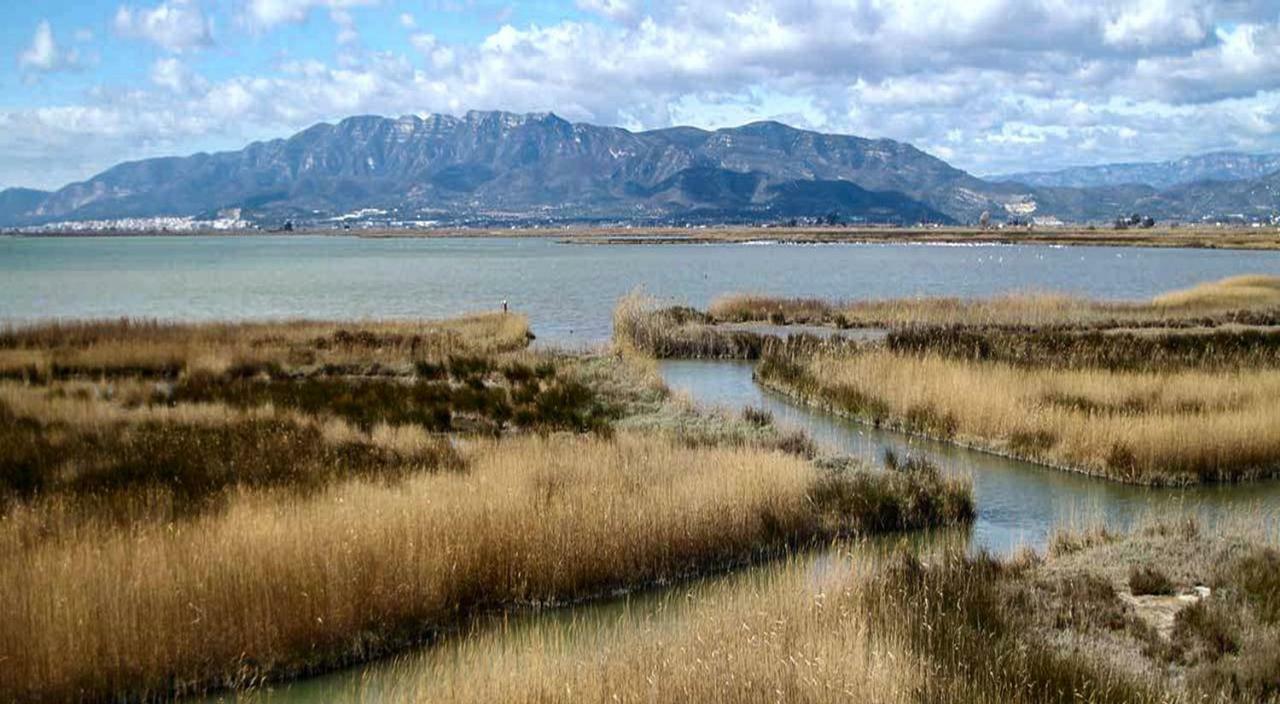 Mi Apartamento En El Delta Del Ebro+ Дельтебре Экстерьер фото
