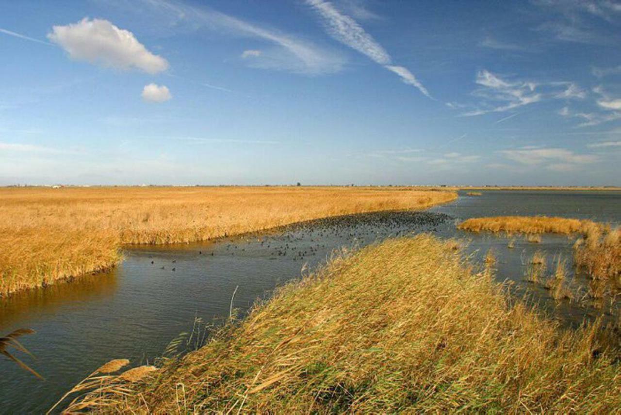 Mi Apartamento En El Delta Del Ebro+ Дельтебре Экстерьер фото