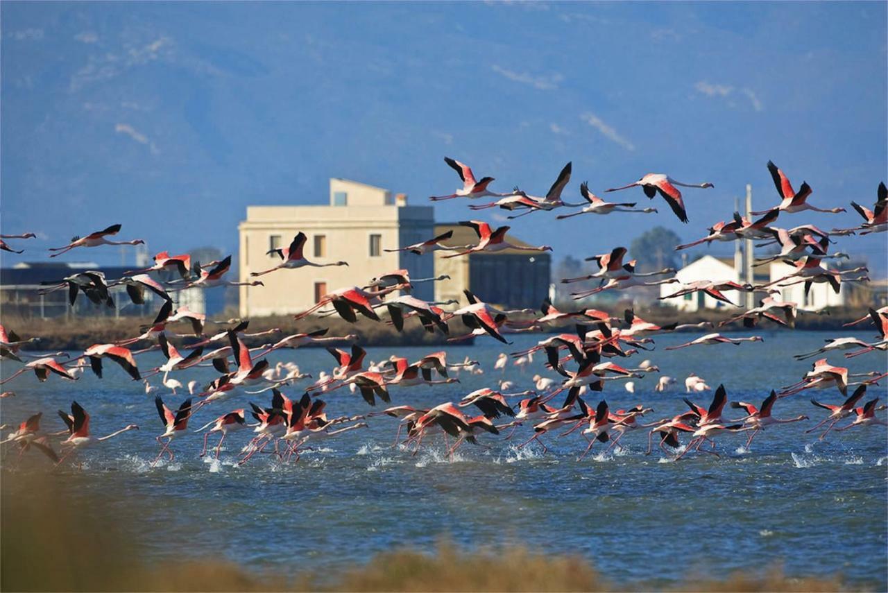 Mi Apartamento En El Delta Del Ebro+ Дельтебре Экстерьер фото