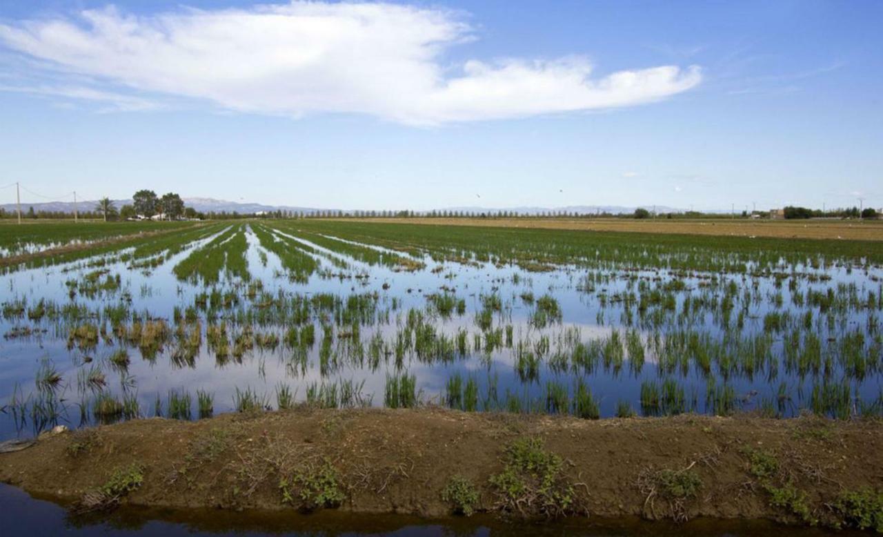 Mi Apartamento En El Delta Del Ebro+ Дельтебре Экстерьер фото