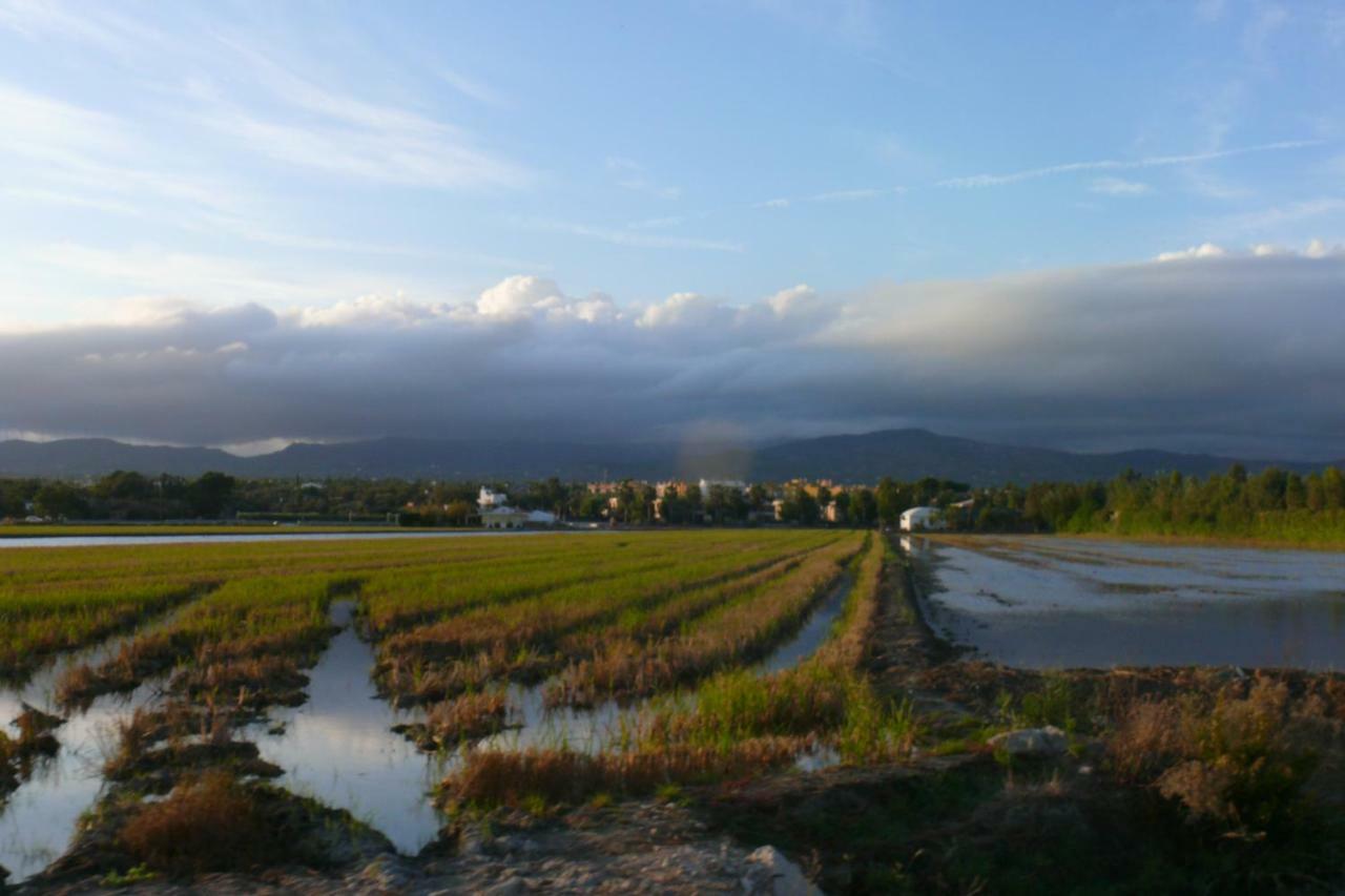 Mi Apartamento En El Delta Del Ebro+ Дельтебре Экстерьер фото